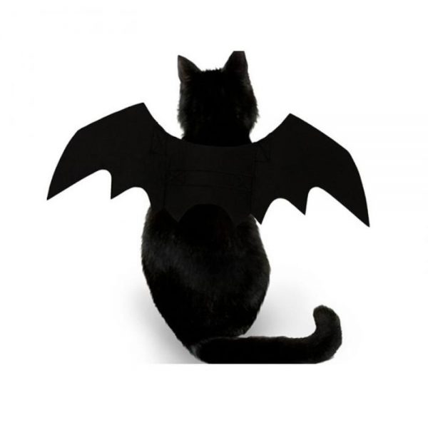 Cat Wing Halloween Cosplay - 1 - Kawaii Mix