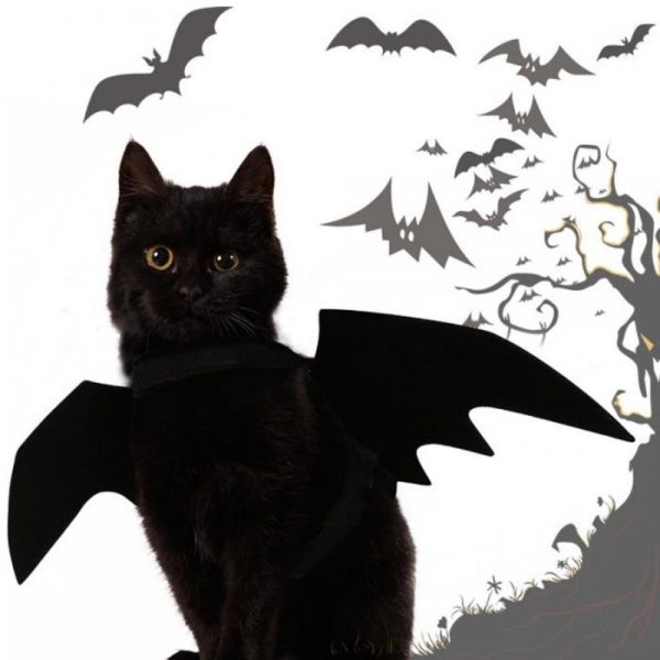 Cat Wing Halloween Cosplay - 6 - Kawaii Mix