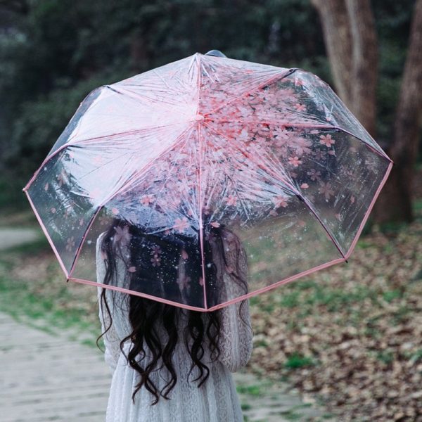 Cherry Blossom Transparent Umbrella SD01699 - 1 - Kawaii Mix