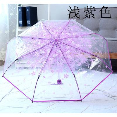 Cherry Blossom Transparent Umbrella SD01699 - 5 - Kawaii Mix